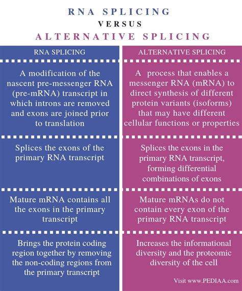 What is the Difference Between RNA Splicing and Alternative Splicing - Pediaa.Com