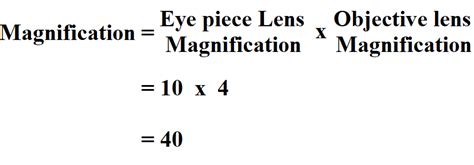 Compound Microscope Magnification Examples