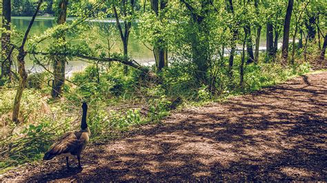 Radnor Lake State Park | The Cultural Landscape Foundation