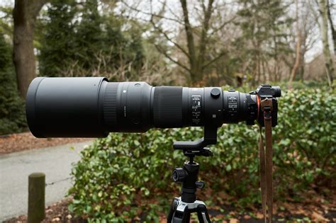 Review: Sigma 500mm f4 DG OS HSM Sports (Canon EF Mount)