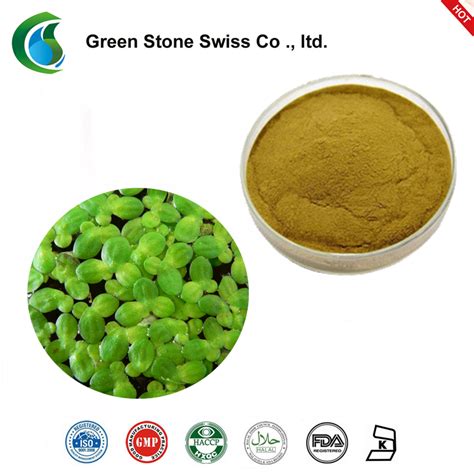 Buy Common Duckweed Extract Online From Manufacturer/Supplier, RFQ, Sale, Uses, Price