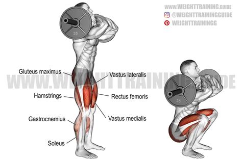 Barbell front squat exercise instructions and video | Weight Training Guide