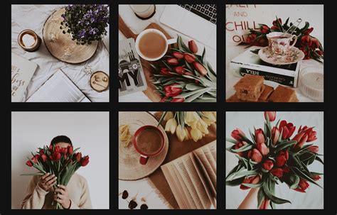 30 Instagram Feed Themes + How To Re-Create Them by Yourself!