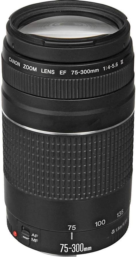 Best Telephoto Lenses For Canon – 2021 Buyer’s Guide - Digital Camera HQ