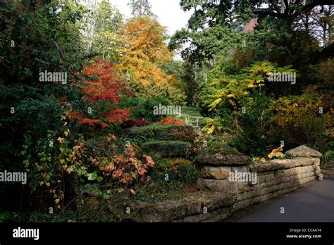 Batsford Arboretum Gloucestershire Stock Photo - Alamy