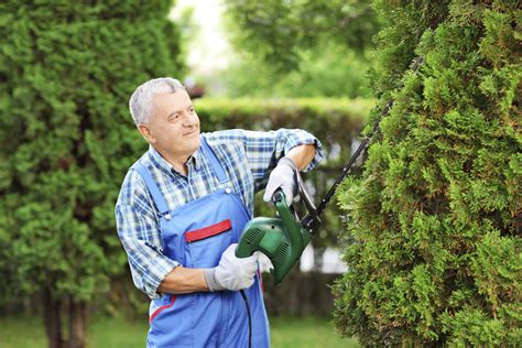 Tree Care, Lakeland | The Other Side Pest Control Inc.