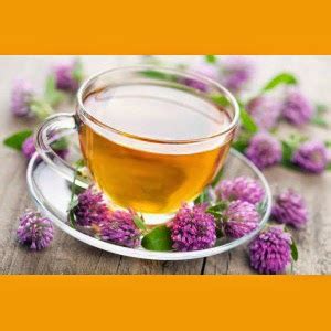Tsleeve Blog: Valerian Tea for Weight Loss