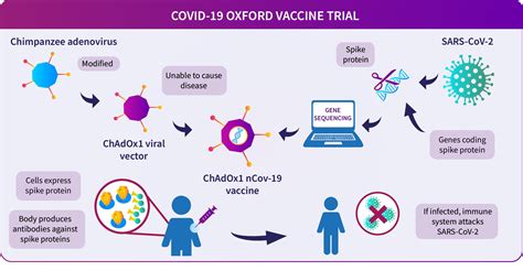 The Lancet：阿斯利康黑猩猩型腺病毒载体COVID-19疫苗在老年人中诱导了强烈的免疫应答-MedSci.cn
