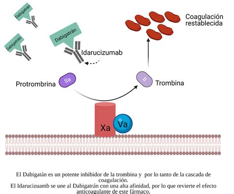 IDARUCIZUMAB | Base de Datos de Medicamentos Biotecnológicos en México