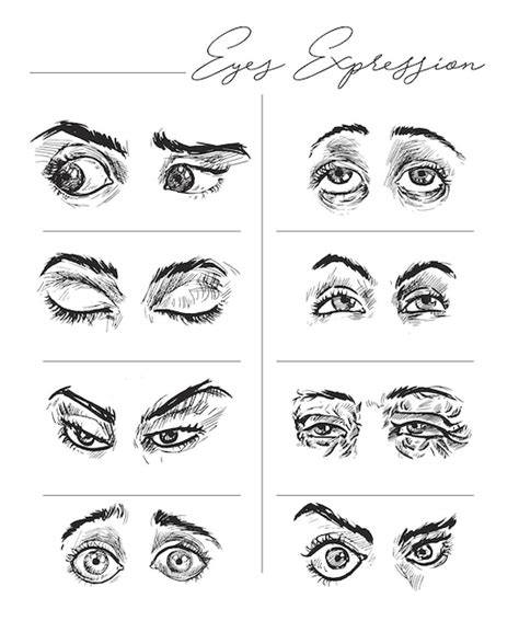 Free Vector | Beautiful expression eyes set open and closed Vector ...