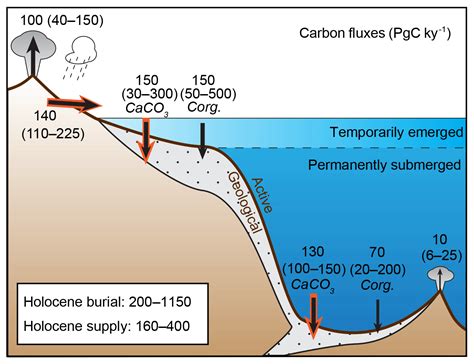 CP - Carbon burial in deep-sea sediment and implications for oceanic ...