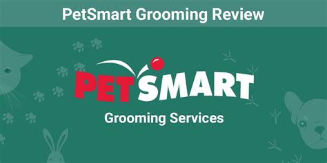 PetSmart Grooming Review 2024: Services, Prices, User Ratings and FAQs | Pet Keen