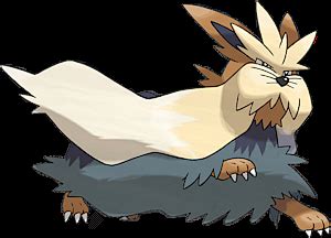 Pokemon 508 Stoutland Pokedex: Evolution, Moves, Location, Stats