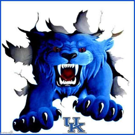 Kentucky Wildcats Clipart at GetDrawings | Free download