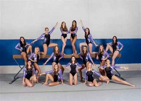 Fowlerville-Byron-Pinckney-Chelsea High School Gymnastics – Livingston ...