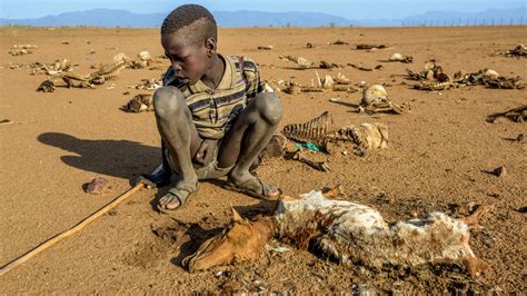 Food crisis in Kenya: 5 signs of hunger I’ve never seen | World Vision