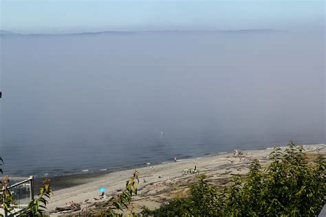 Fog in Edmonds | Edmonds, WA Patch