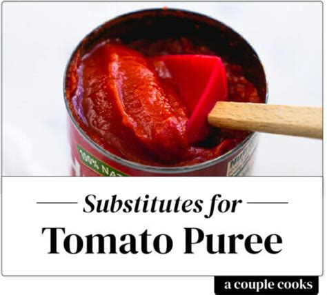 Best Tomato Puree Substitute – A Couple Cooks