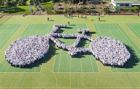 West Auckland kids claim GUINNESS WORLD RECORDS title - OurAuckland