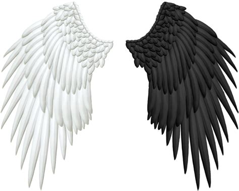 Good and Evil Angel Wings PNG by Thy-Darkest-Hour on DeviantArt