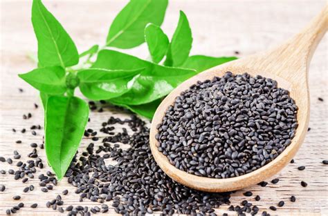 How To Eat Basil Seeds | Storables