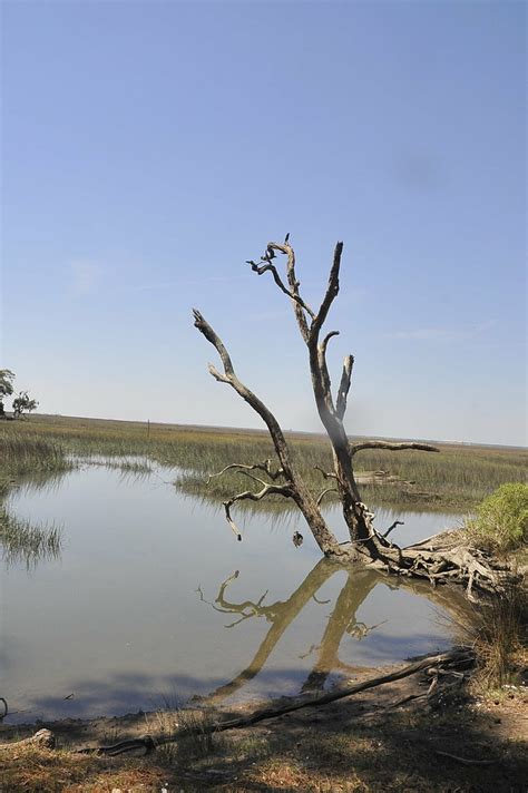 Marsh | Cumberland Island National Seashore | Flickr