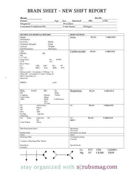 Nurse brain sheet_new_shift_report