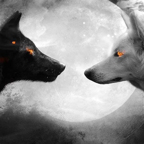 Black and White Wolf Wallpaper Engine | Varg