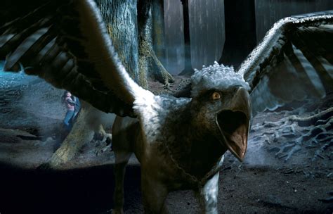 Buckbeak roars — Harry Potter Fan Zone