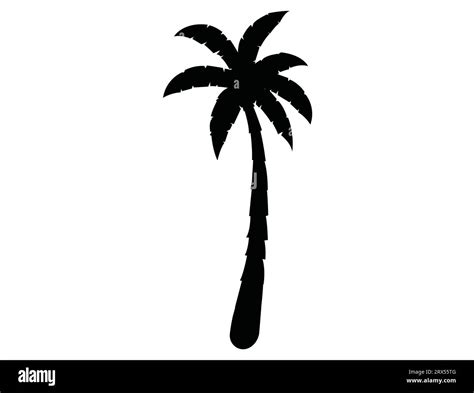 Palm tree silhouette vector art white background Stock Vector Image ...