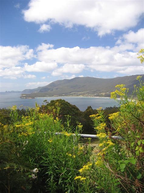 Tasmania Coastline | Beautiful Scenery all around | Jiaren Lau | Flickr