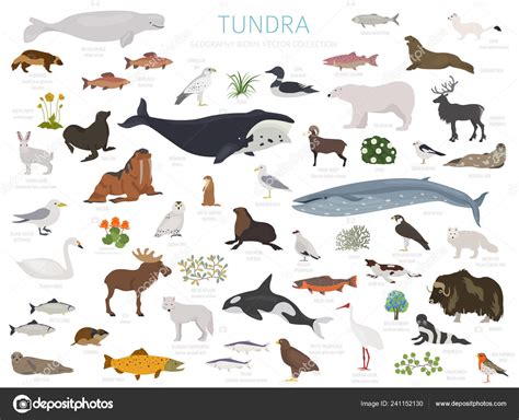 Arctic Tundra Fish