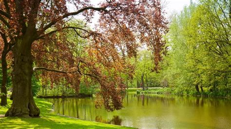 Best parks in Amsterdam: Amsterdam has many parks and green sides