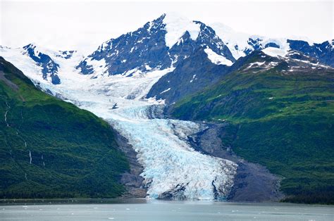 Active Glaciers Cruise in Alaska 2025 - Rove.me