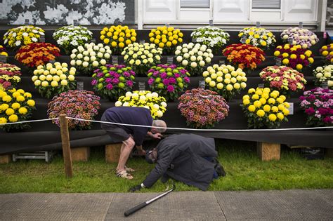 Photos: London's Chelsea Flower Show Hopes You'll Get In The Garden ...