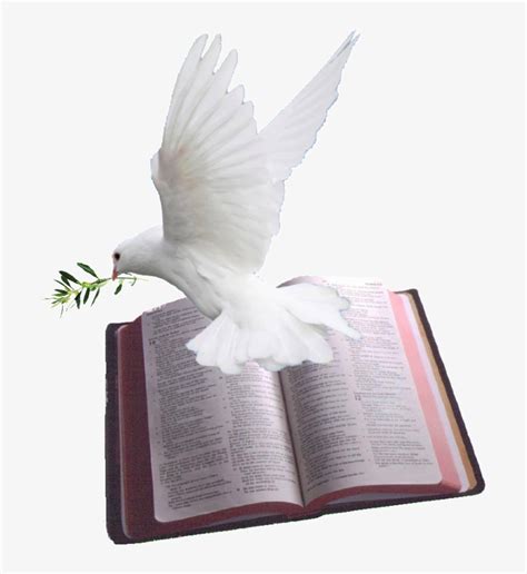 Christian Dove Png