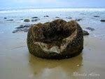 Moeraki Boulders - Legend or Science: Let's Solve this NZ Mystery