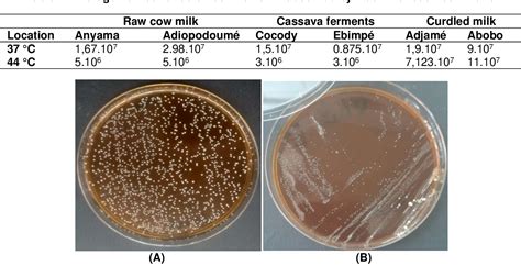 Table 2 from Characterization of Lactobacillus Isolated from the Microflora of Different ...