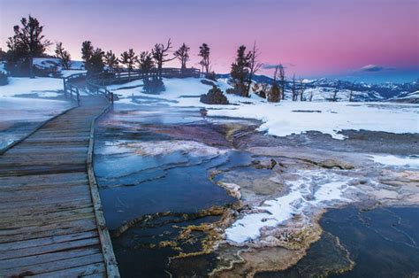 Wonderland: Yellowstone in winter | Vacations & Travel