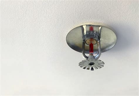 Fire sprinkler head on ceiling | Flue Steam