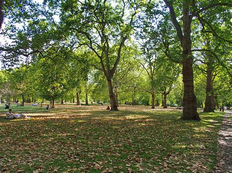 In photos: London’s Green Park turns golden brown as trees shed their ...