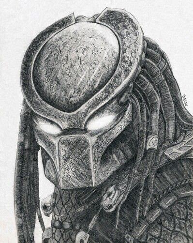 Sketch | Predator artwork, Predator art, Predator