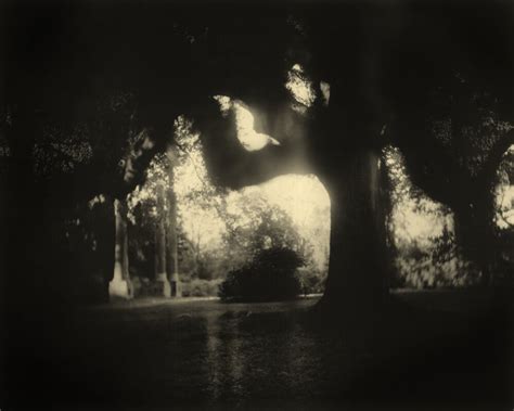 Southern Landscapes — Sally Mann