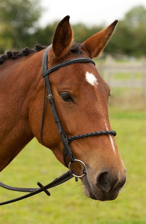 Handcrafted Leather English Bridle | English bridle, Handcrafted ...