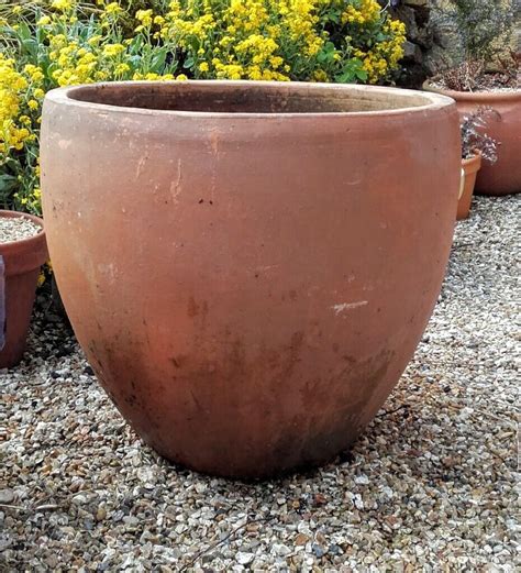 Huge terracotta plant pot | in Ilminster, Somerset | Gumtree