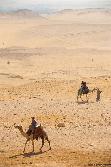 Desert Dynasties (Panorama Inside) - Tourists wander the desert around the pyramids of Giza ...