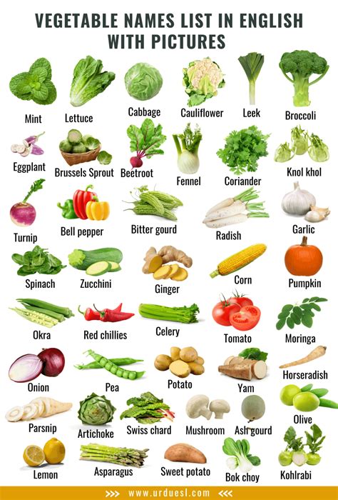 Vegetable Names in English and Urdu with Pictures - Download Pdf ...