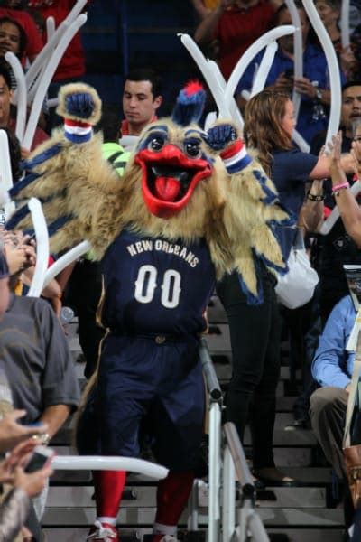 Pierre the Pelican Photo Gallery | NBA.com