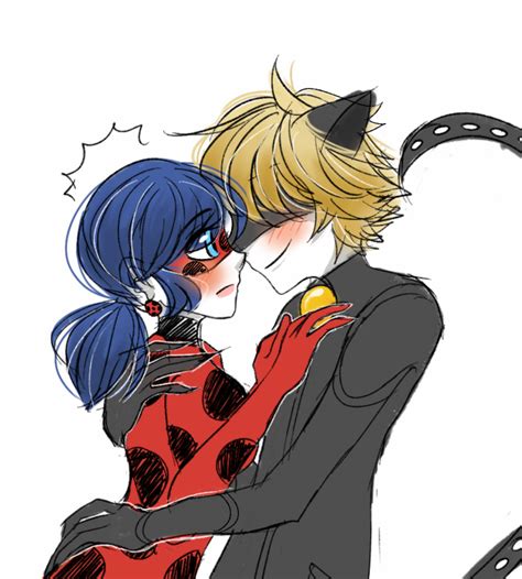 Miraculous Ladybug Chat Noir | Ladybug and Chat Noir - Miraculous ...