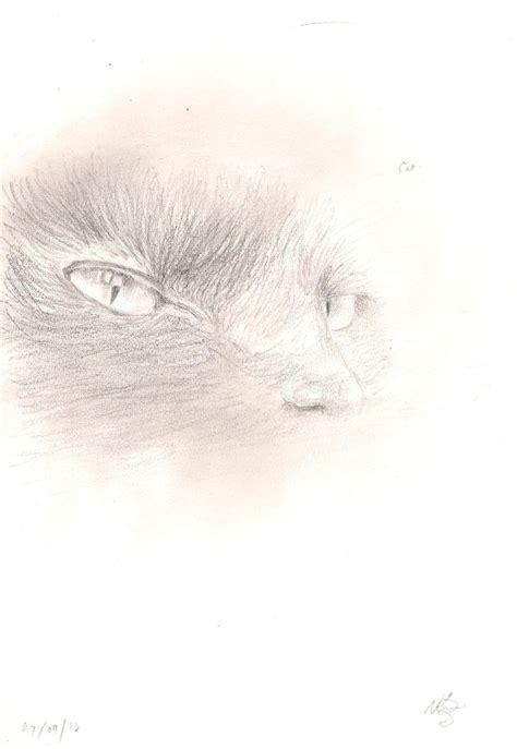 Side view of cat's eyes drawing by whatisthis25 on DeviantArt